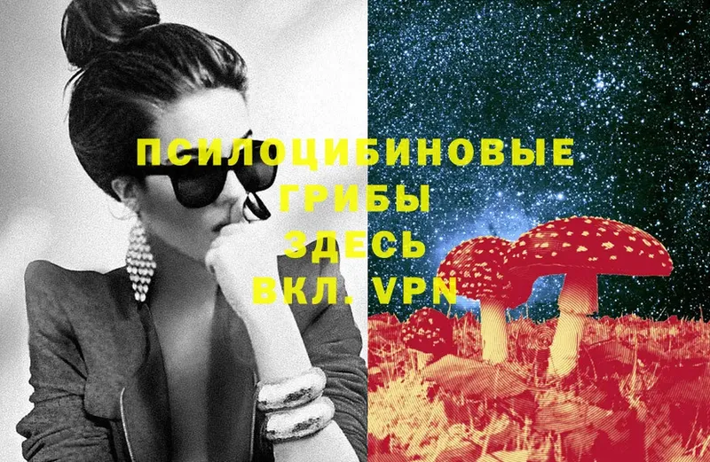 Галлюциногенные грибы Magic Shrooms  даркнет сайт  Прохладный 